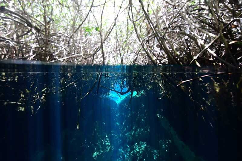 Tulum: Discover Scuba Diving in Cenotes - What the $180 price includes