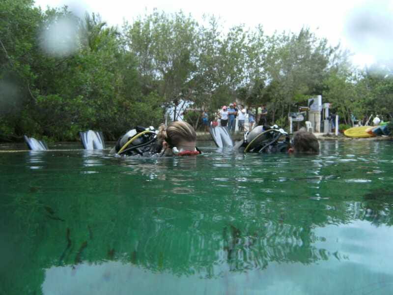 Tulum: Discover Scuba Diving in Cenotes - Who should book this cenote session