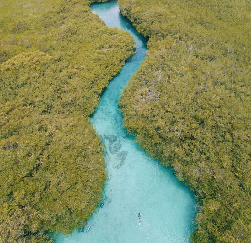 Tulum: Discover Scuba Diving in Cenotes - Should you book it?