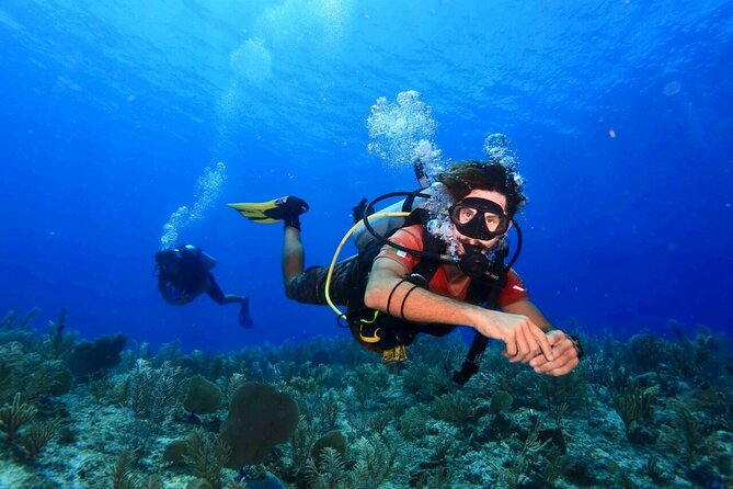 Tulum Diving (Reef) 2 Tanks - Key points about the Tulum reef outing