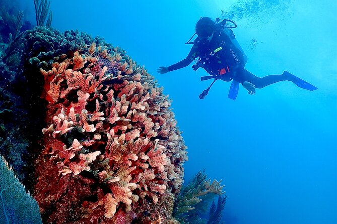 Tulum Diving (Reef) 2 Tanks - What the $191.16 price includes