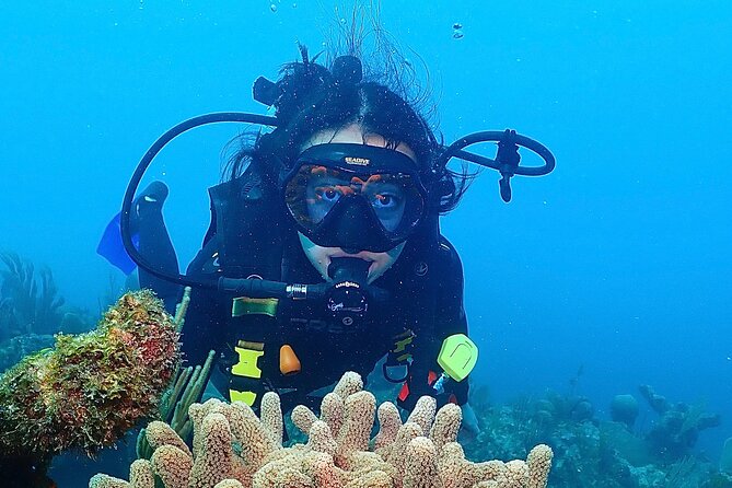 Tulum Diving (Reef) 2 Tanks - Two 45 to 50 minute sessions below the surface