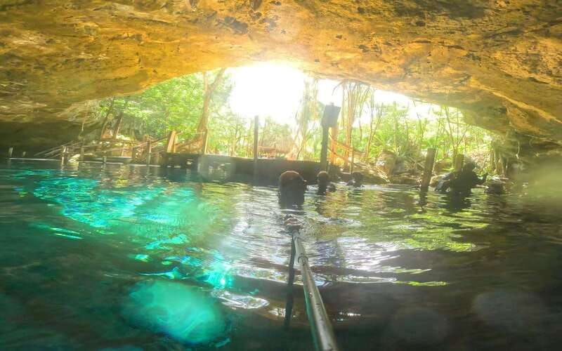 Tulum: Dos Ojos Cenote 2 Scuba Dives with Transfer Option - The 30-minute surface break