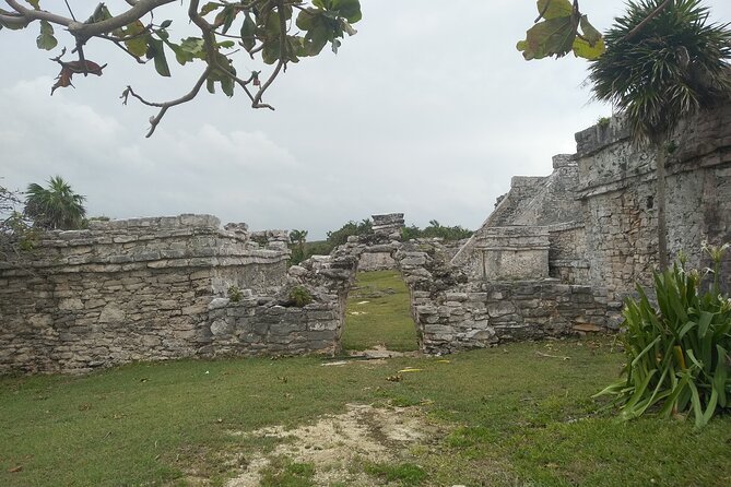 Tulum Guided Tour and Cenote Swim from Playa del Carmen - What the guide adds to the morning