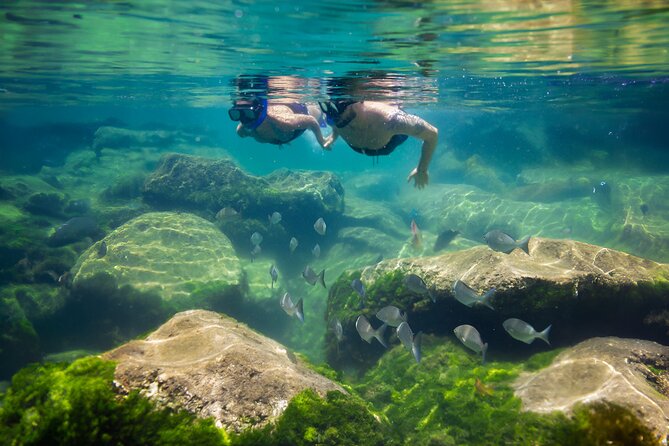 Tulum Guided Tour, Magical Cenote, Lagoon Snorkeling and Beachside Lunch - Yal Ku Lagoon and its mix of fresh and salt water