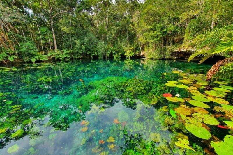Tulum: Half-Day Adventure Zip line Cenote in Mayan Community - A private road from Tulum to the Mayan community