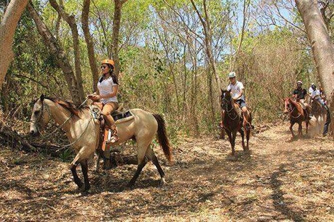 Tulum Jungle Horseback Ride + ATV + Ziplines + Cenote Combo Tour - Horses, hammocks, and lunch