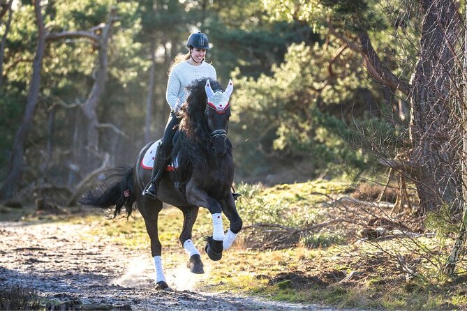 Tulum Jungle Horseback Ride + ATV + Ziplines + Cenote Combo Tour - ATV riding on rough jungle roads