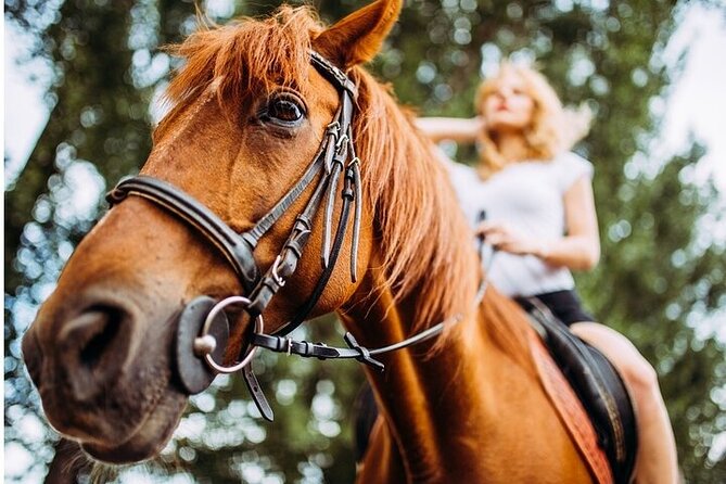 Tulum Jungle Horseback Ride + Cenote Dip & Traditional Lunch - Who will get the most from this half-day trip