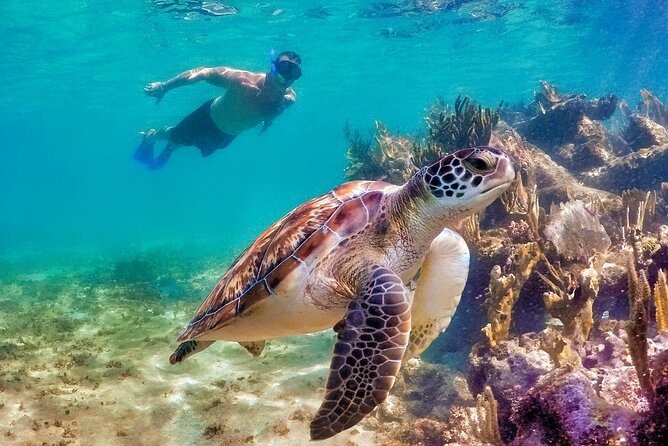 Tulum Mayan Ruins and Snorkeling with Turtles at Akumal - How to prepare for both water and ruins