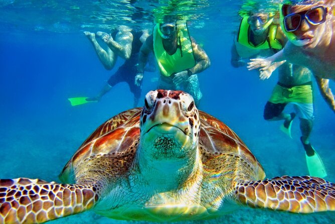 Tulum Mayan Ruins and Snorkeling with Turtles at Akumal - Priority admission can protect your limited time