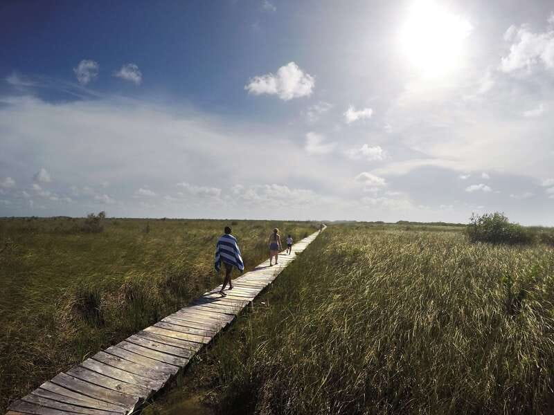 Tulum: Mayan Ruins & Sian Kaan Tour with Boat Ride and Lunch - Guides, Vehicles, and Group Size
