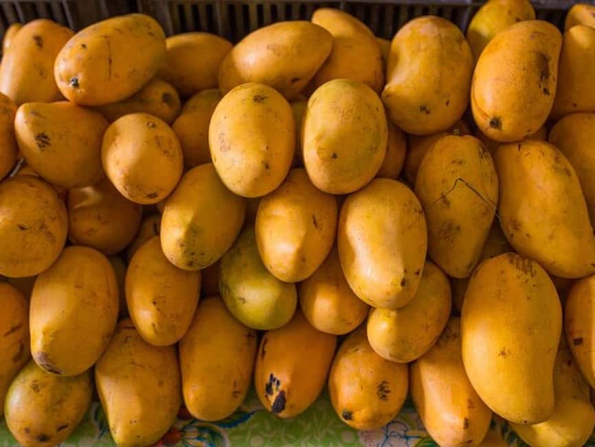 Tulum: Mexican Cooking Class in Local Home - Who should book it?