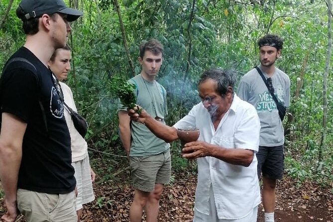 Tulum Monkey Sanctuary Tour Punta Laguna - Why Punta Laguna Feels Different From a Standard Tulum Excursion