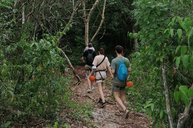 Tulum Monkey Sanctuary Tour Punta Laguna - The Jungle Walk and the Search for Monkeys