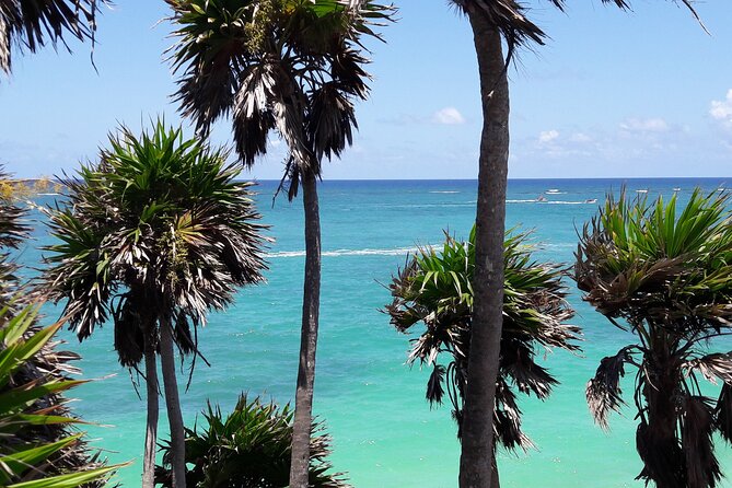 Tulum Private Boat Tour & Turtle Snorkeling Experience - Seafood lunch at El Capitan