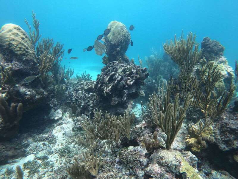 Tulum: Private Snorkel and Sailing Experience - A short sail with two very different views