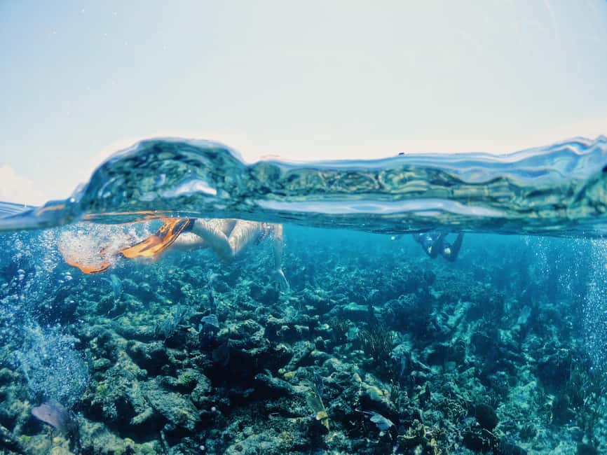 Tulum: Private Snorkel and Sailing Experience - The beach-club finish at Pocna