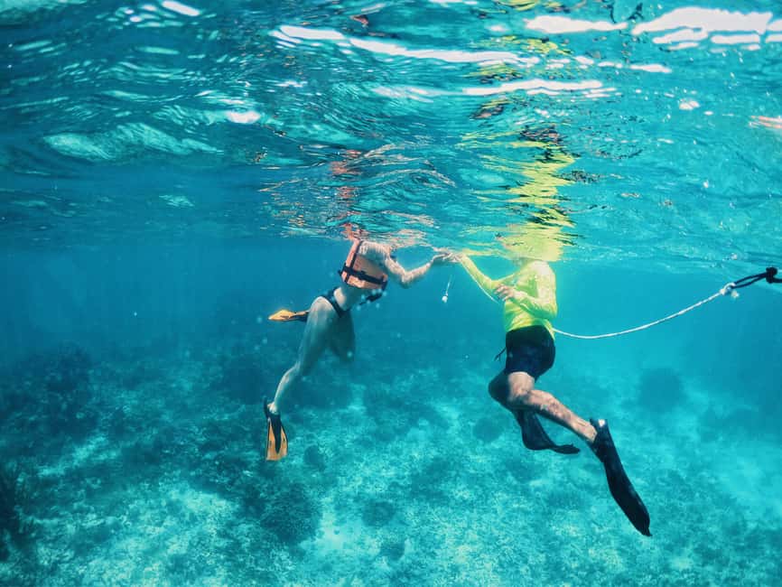 Tulum: Private Snorkel and Sailing Experience - Who will enjoy this private sailing trip?