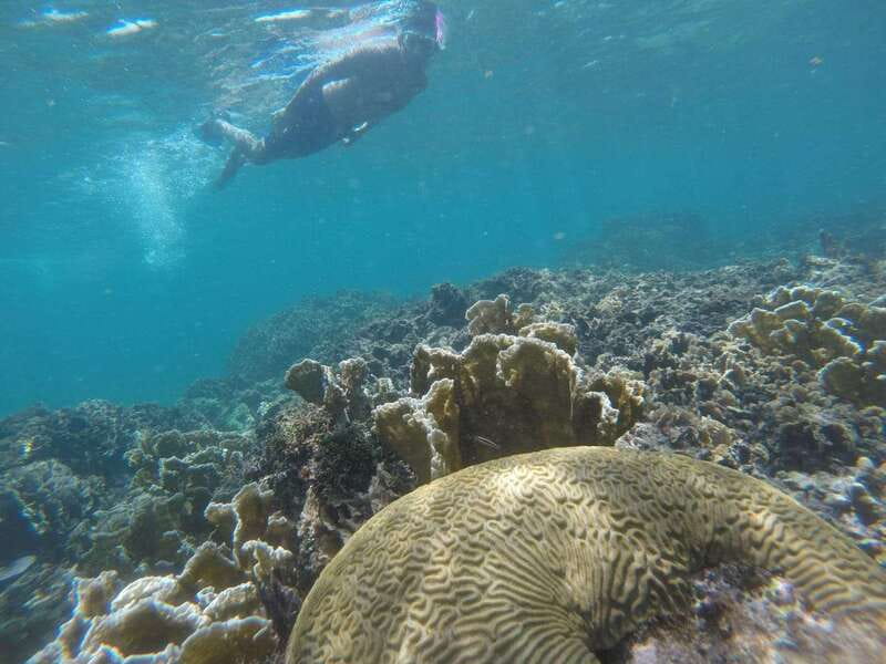 Tulum: Private Snorkel and Sailing Experience - Sailing beside the Tulum Castle