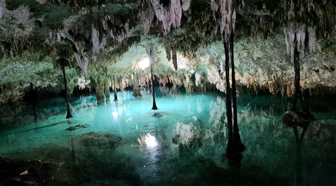 Tulum: Private Tour 2 Cenotes Sac Actun, the longest underground river in the world - Xunaan Ha: open water and jungle greenery