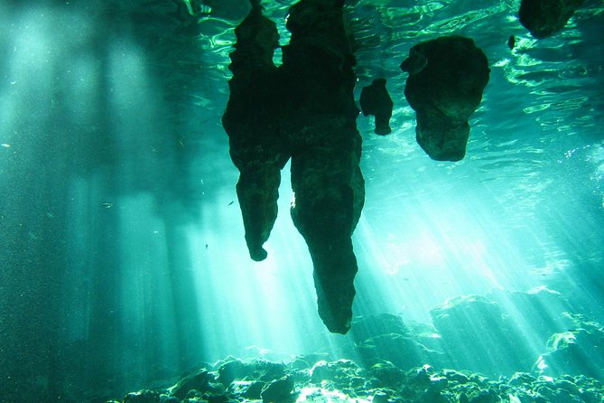 Tulum Ruins & Cenote guided private tour from Tulum and Riviera Maya. - Guides Carlos and Syed add a personal touch