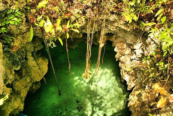 Tulum Ruins & Cenote guided private tour from Tulum and Riviera Maya. - Timing, transport, and what the four hours include