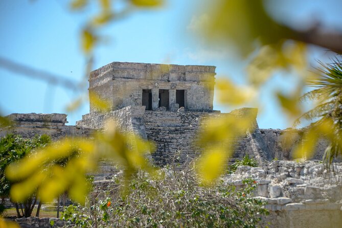 Tulum Ruins, Turtles in Akumal and Cenote tour - Yax-Muul cenote, the day’s wild card