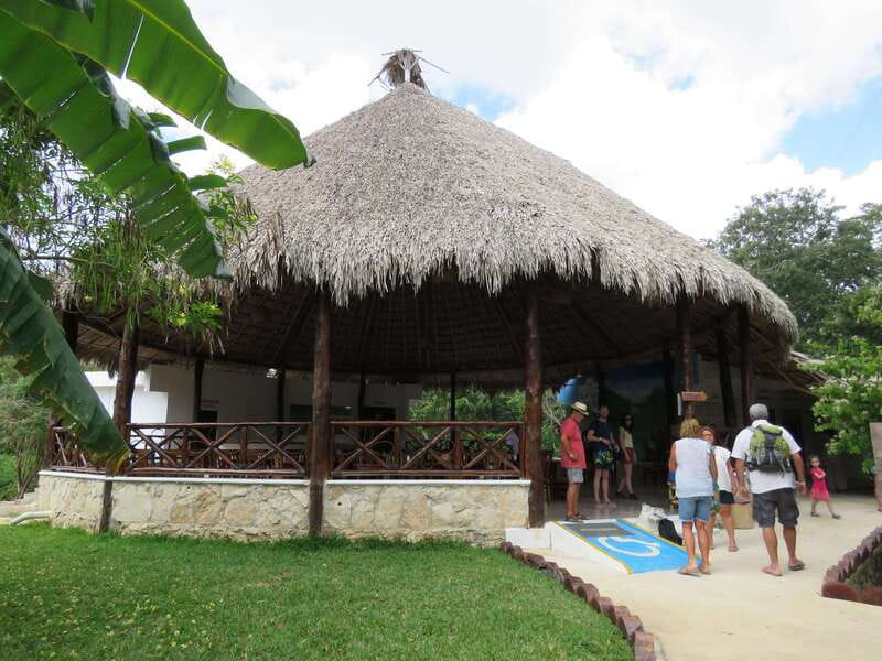 Tulum: Sian Ka'an Biosphere Reserve Kayak Tour - Lunch at Chunyaxché