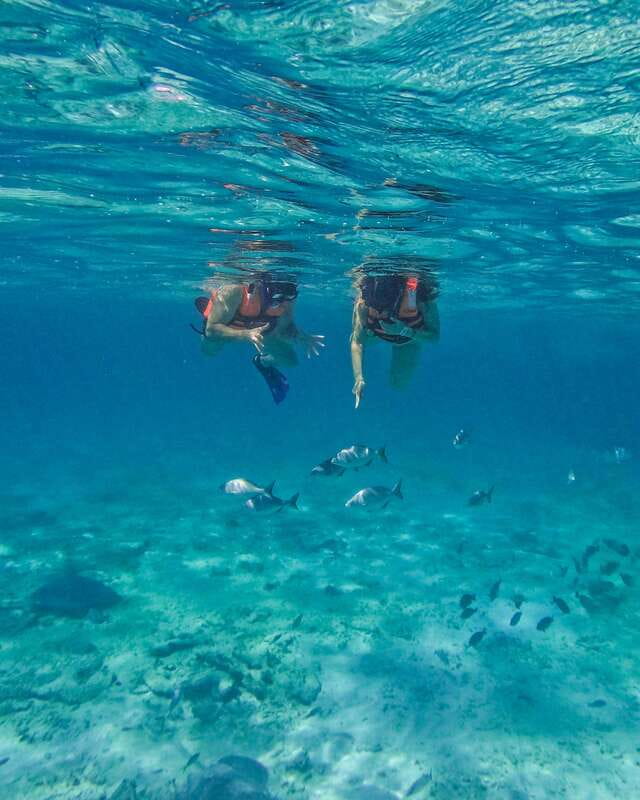 Tulum: Snorkeling at Paradise Reef - Is $35 a fair price?