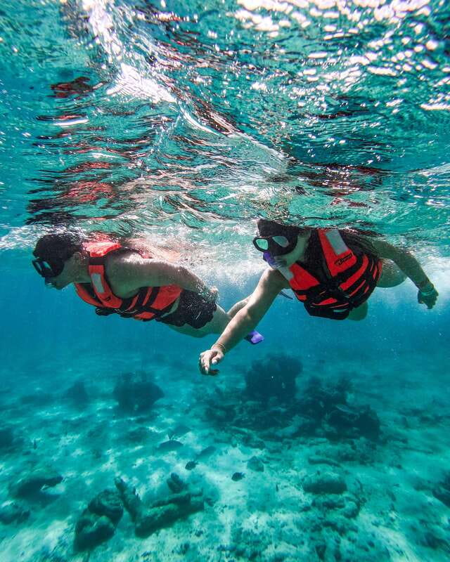 Tulum: Snorkeling at Paradise Reef - Booking flexibility and timing
