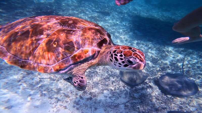 Tulum: Snorkeling at Paradise Reef - The short boat ride and the ruins photo stop