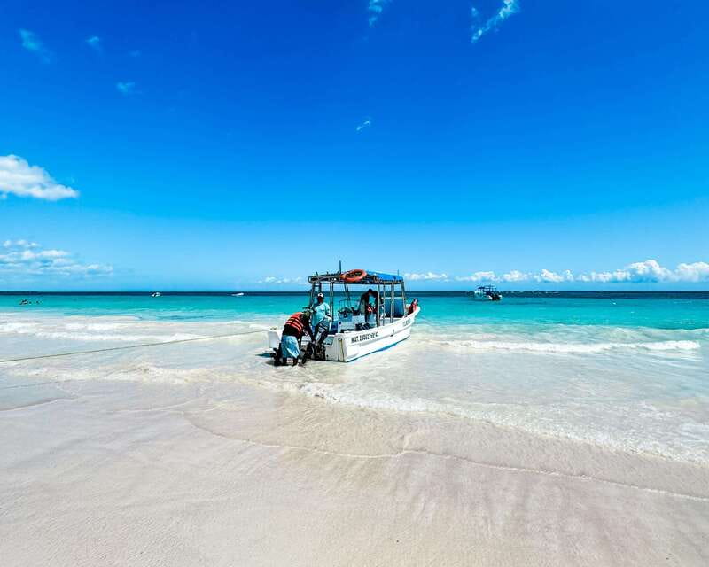 Tulum: Sport Fishing Experience with Ceviche - Understanding the $255 price