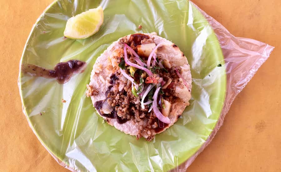 Tulum Taco Tour - Who will get the most from this tour