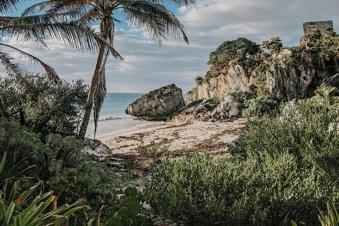 Tulum Transportation Service 24/7 The Most Reliable and safe. - Inside the Vehicle: The Useful Basics