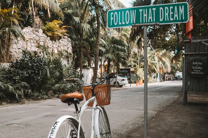 Tulum Transportation Service 24/7 The Most Reliable and safe. - Who Will Get the Most Value From This Ride?