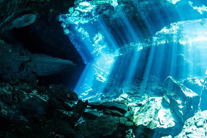 Tulum Turtle Encounter - The Best Private Turtles Snorkel Tour - Snorkeling with sea turtles, rays, and fish
