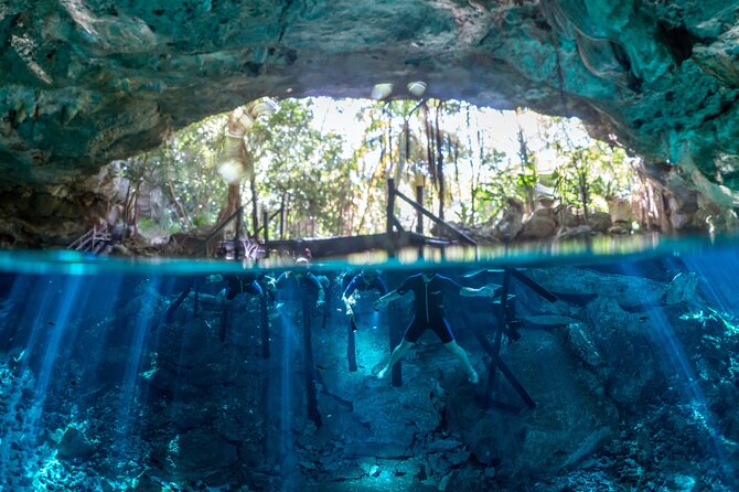 Tulum Turtle Encounter - The Best Private Turtles Snorkel Tour - Why the private format matters at $299 per person
