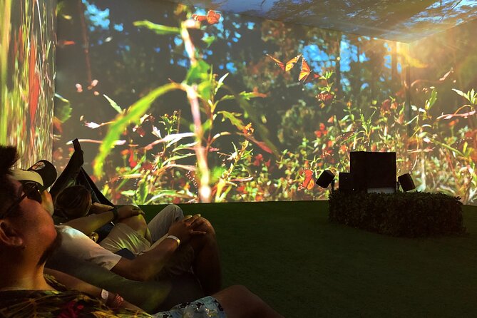 Tulum Vespa Tours with Lunch - Mystika Immersive connects art with Maya cosmology