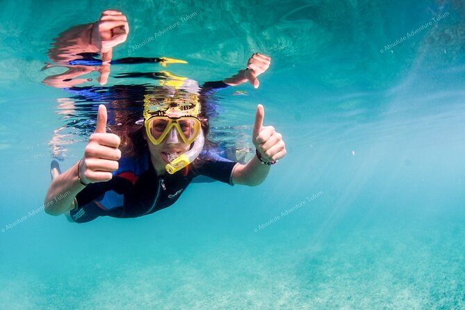 Tulum VIP Private Tour with Sea Turtles & Cenote – Award-Winning - What the $266 price really buys