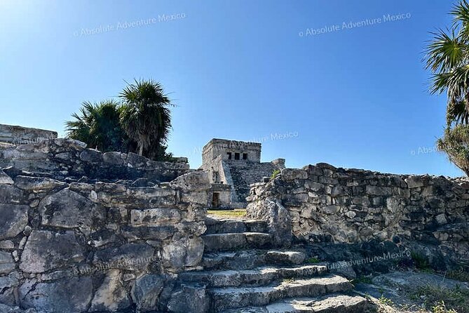 Tulum VIP Private Tour with Sea Turtles & Cenote – Award-Winning - Booking details worth checking before you pay