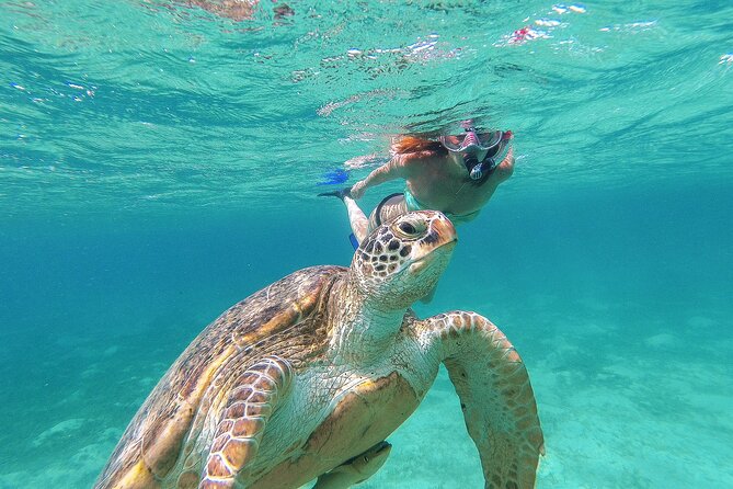 Turtle and Reef Sanctuary Snorkeling - What the four-hour schedule really means