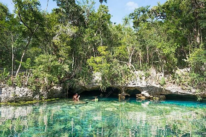 Turtle Encounter Private Tour – Swim with Sea Turtles & Cenote - Booking timing and weather considerations