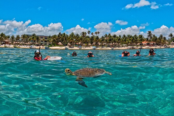 Turtle Snorkeling and Jungle Adventure with Cenote - Akumal Bay puts turtles first