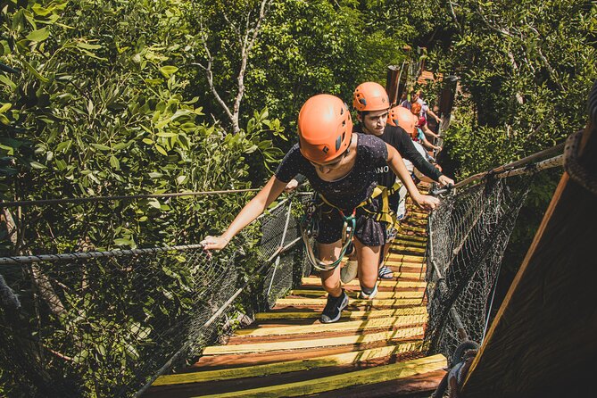 Turtle Snorkeling and Jungle Adventure with Cenote - Is the turtle and cenote tour worth booking?