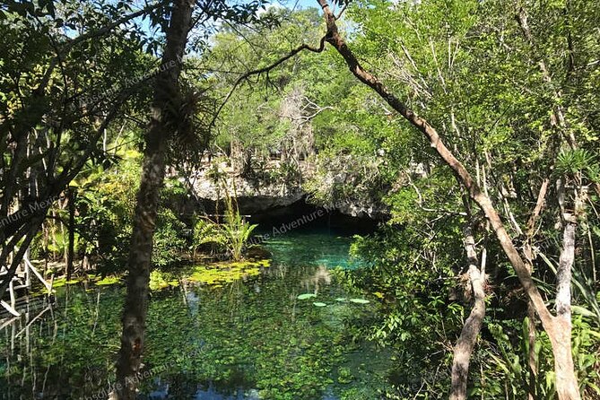 Turtle Snorkeling Private Tour – Sea Turtles & Cenote in Tulum - What the private vehicle adds