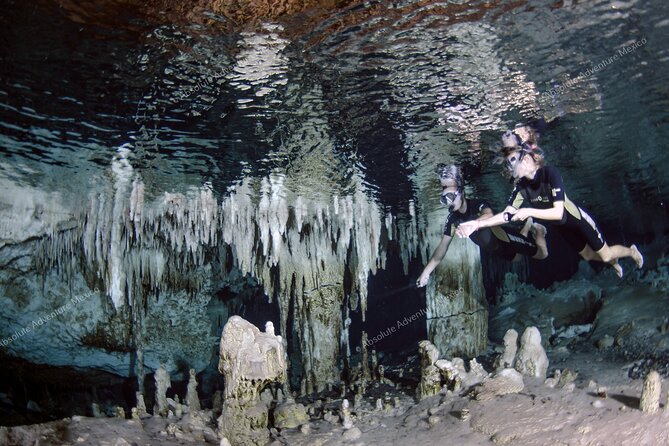 Turtle Snorkeling Private Tour – Sea Turtles & Cenote in Tulum - Who should book this experience