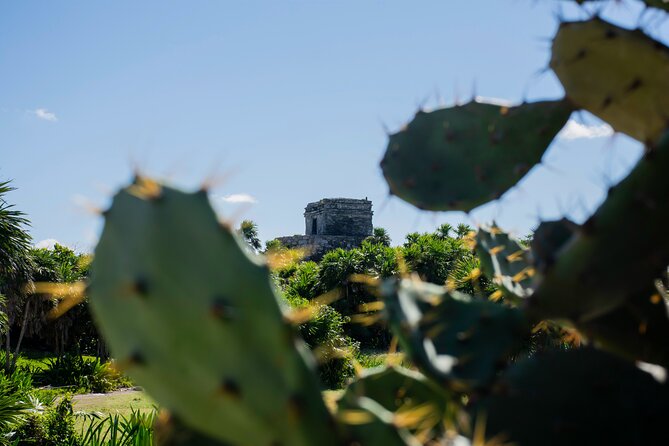 Turtle Swim & Tulum Ruins! With Cenote from Playa del Carmen - Practical packing and timing advice