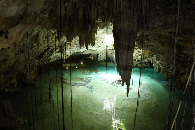 Turtles and Cenote snorkeling activity from Riviera Maya - A closer look at the timing