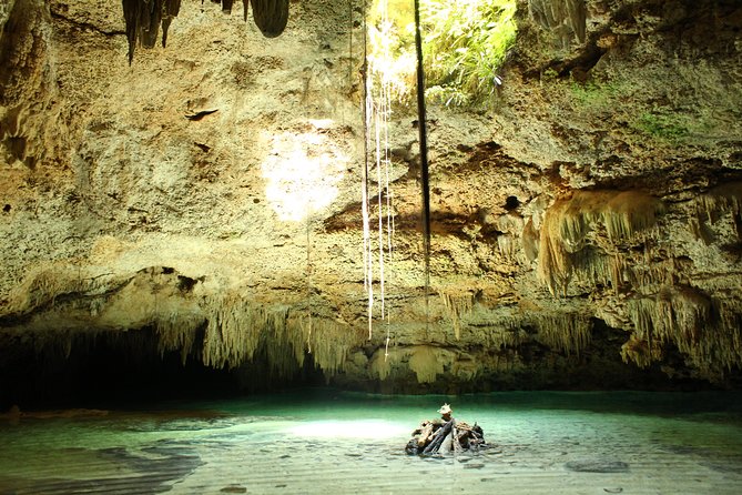 Turtles and Cenote snorkeling activity from Riviera Maya - Who will enjoy this most